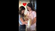 Jaclyn Cordeiro's Instagram story